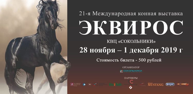 Карабахских скакунов покажут в Москве