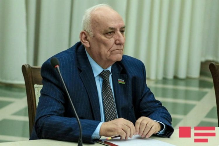 "Внеочередные парламентские выборы предложили мы по своей инициативе" - Ягуб Махмудов
