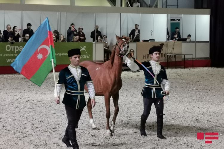 Карабахские скакуны были показаны на Международной конной выставке в Москве
