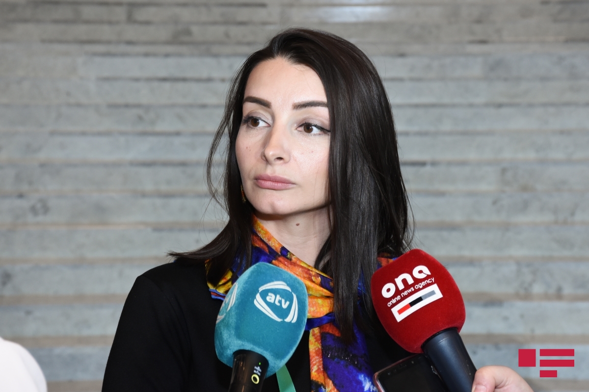 Лейла Абдуллаева: Понять премьер-министра Армении очень сложно