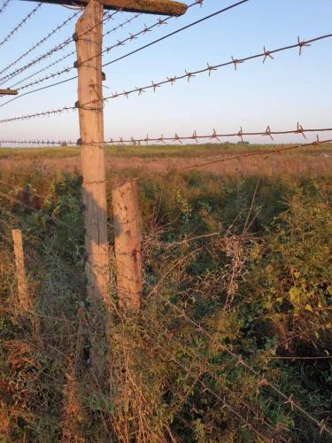 Азербайджанские пограничники ликвидировали трех нарушителей госграницы - ФОТО