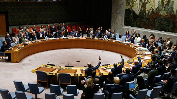 Россия не поддержала заявление СБ ООН по операции Турции в Сирии