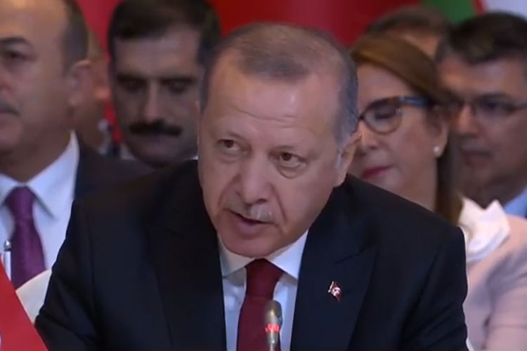 "Быть рядом друг с другом в национальной борьбе - наш братский долг" - Эрдоган
