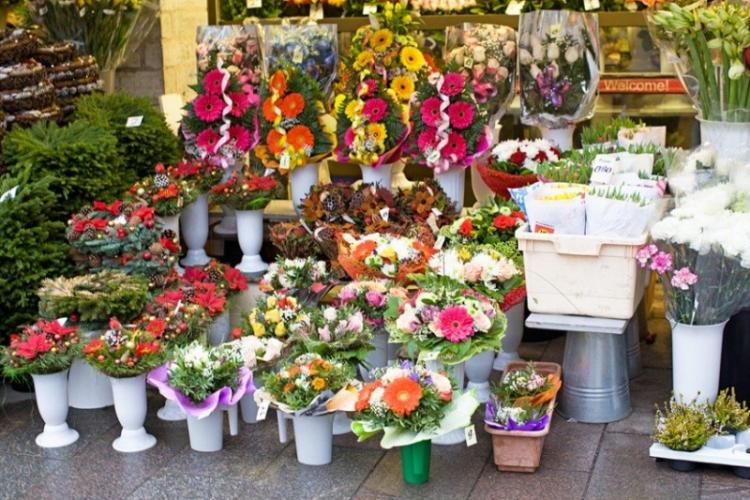Азербайджанские предприниматели приняли участие на ярмарке цветов в Колумбии
