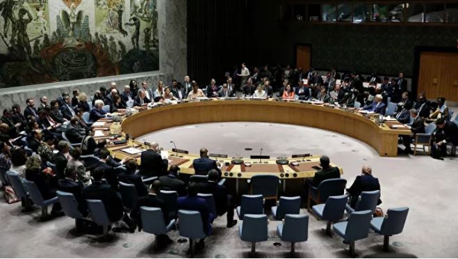 СБ ООН беспокоит перспектива распространения боевиков из-за операции Турции