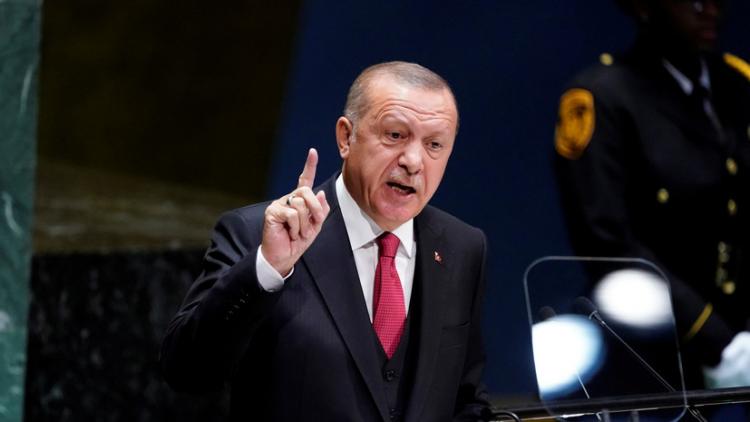 Эрдоган: Турция готова самостоятельно создать зону безопасности в Сирии