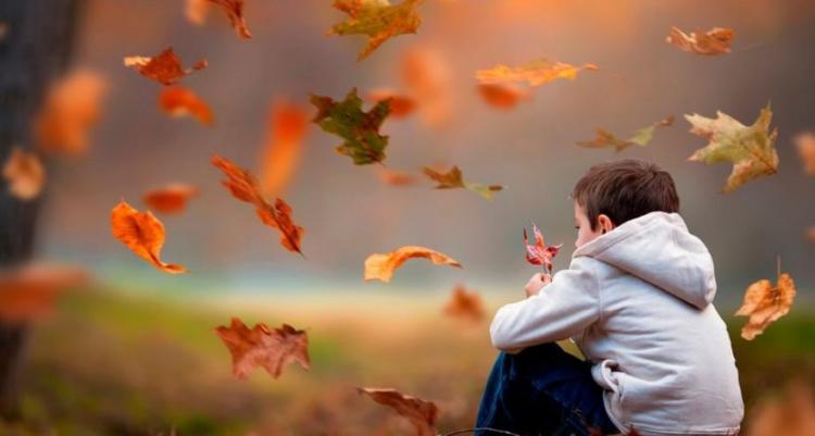 Стало известно время осенних школьных каникул в Азербайджане
