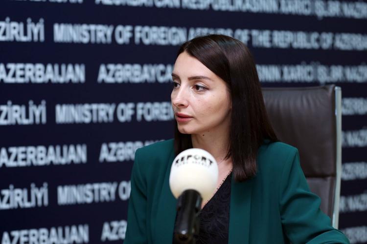 "Суть агрессивной политики Армении была признана членами Движения Неприсоединения" - МИД Азербайджана