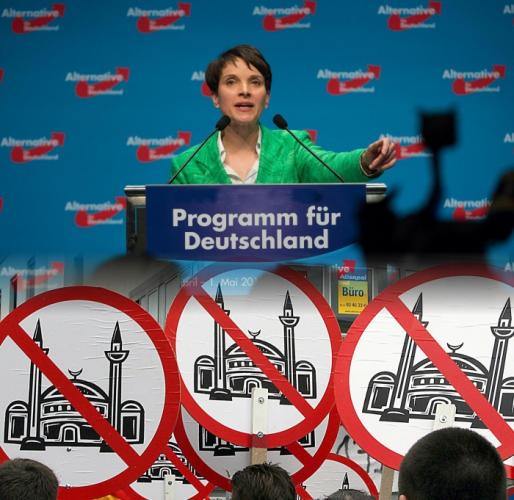В Германии растет популярность партии исламофобов
