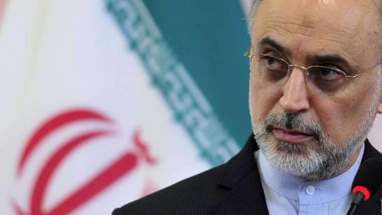 Иран сожалеет, что Европа не смогла выполнить обещания по ядерной сделке
