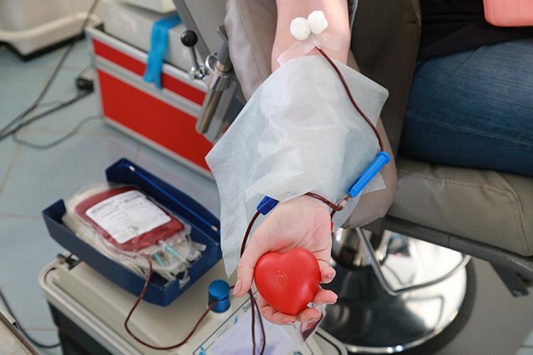 В связи с днем Ашура в Азербайджане сдано более 2,4 тыс. литров донорской крови
