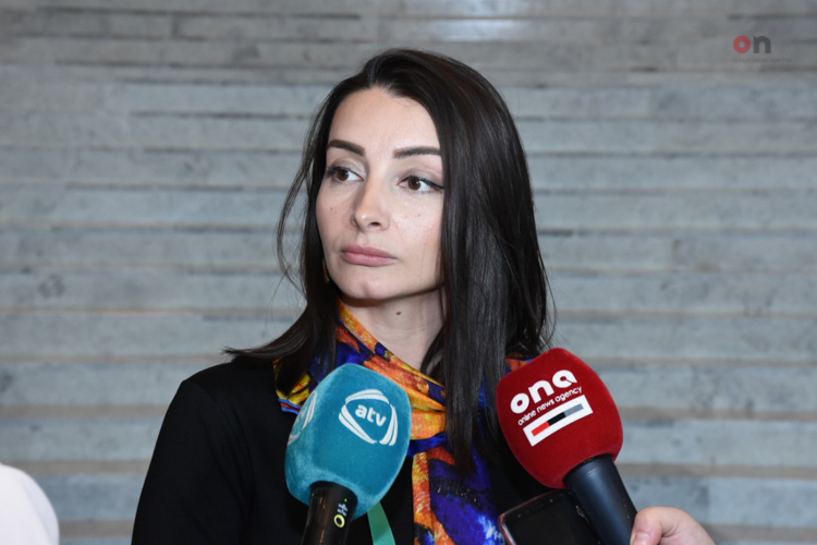 МИД Азербайджана выразил отношение к «местным выборам» в Крыму