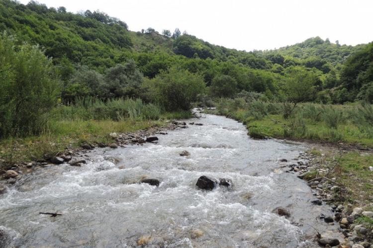 В Азербайджане женщина с сыном хотела утопиться в реке