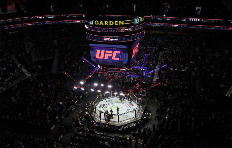 Влиятельные люди США попросили отменить турнир по UFC