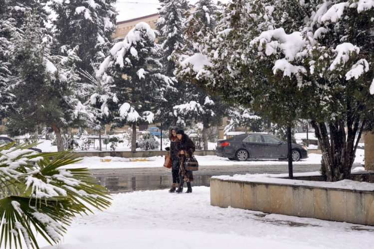 На севере Азербайджана выпал снег