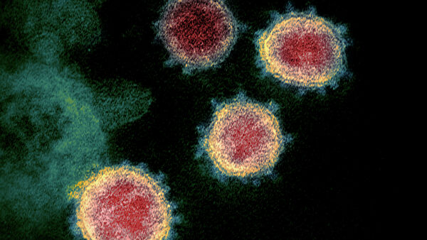 Ученые нашли "слабое место" коронавируса
