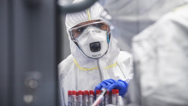 Число случаев заражения COVID-2019 в мире превысило 2,5 млн
