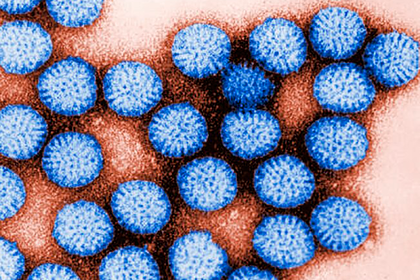 Ученые обнаружили новую мутировавшую форму коронавируса
