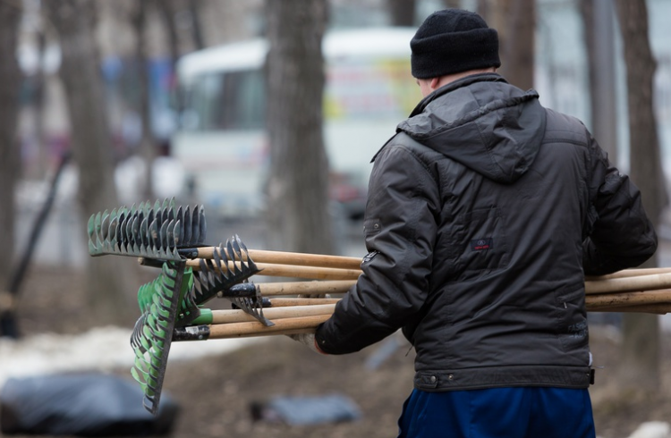В Азербайджане 54 тыс. человека получили оплачиваемую общественную работу