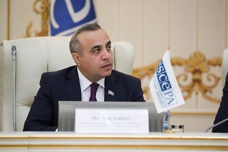 Стали известны глава и состав делегации Азербайджана в ПА ОБСЕ
