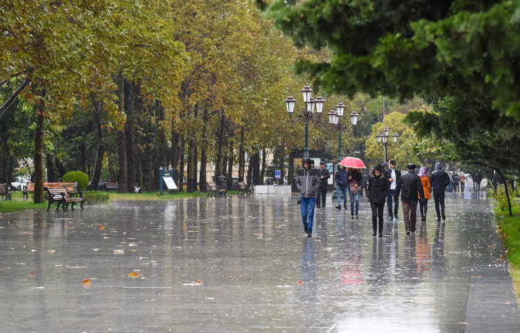 В Азербайджане ожидаются сильный ветер и дожди - МЭПР ПРЕДУПРЕЖДАЕТ