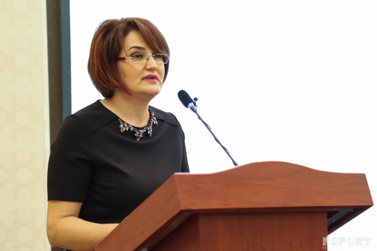 Замминистра образования Азербайджана об онлайн-экзаменах для русского сектора