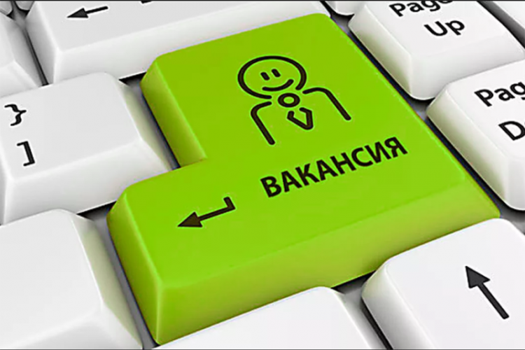 "В Азербайджане 26 тыс. вакантных рабочих мест" - замминистра