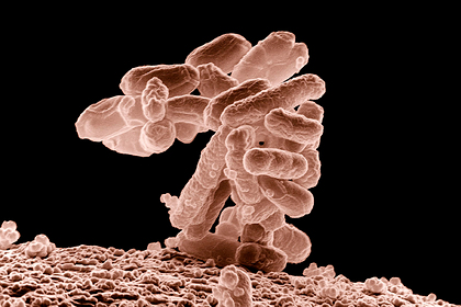 Химики из США взломали генетический код жизни
