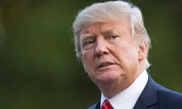 Трамп назвал Эрдогана и Путина «шахматистами мирового класса»
