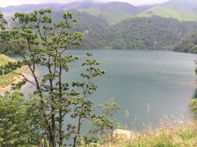 С завтрашнего дня в Азербайджане открываются национальные парки
