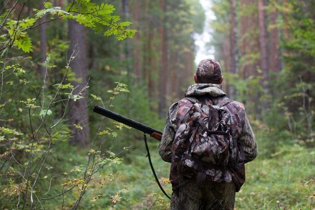 С 1 сентября в Азербайджане откроется сезон охоты
