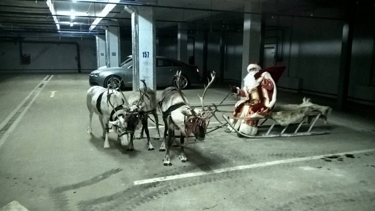 Обычный день в Сургуте: Дед Мороз и его олень пришли в магазин за покупками - ВИДЕО