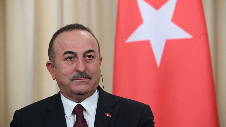 Глава МИД Турции: Мы не притязаем на армянские земли
