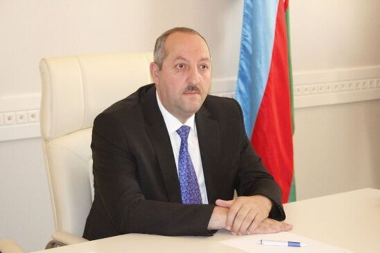Намиг Зейналов освобожден от должности главы ИВ Джалилабадского района
