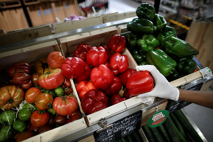 Диетолог назвала десять «суперпродуктов» для поддержания иммунитета
