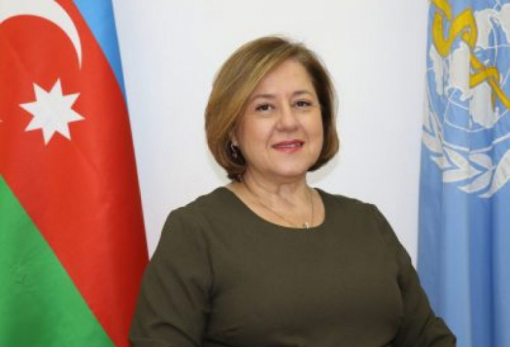 Ханде Харманджи: Мы поддерживаем Азербайджан в ряде проектов
