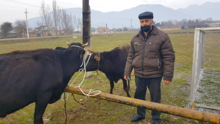 В Азербайджане для семей шехидов Отечественной Войны созданы малые хозяйства - ФОТО