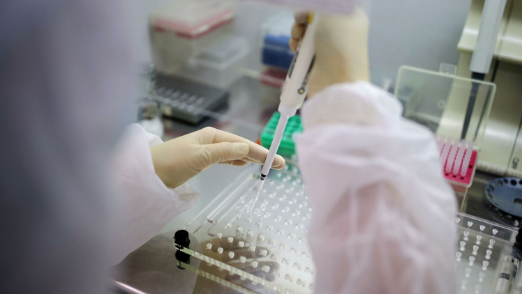 Pfizer и BioNTech проверят свою вакцину на новом варианте коронавируса