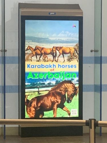 В лондонском метро реализован проект, посвященный азербайджанской культуре
- ФОТО