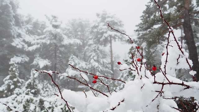 В Баку ожидается снег и переменная облачность