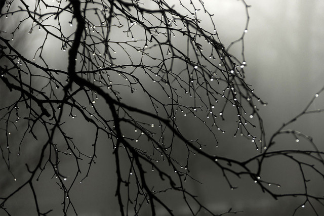 В Азербайджане ожидается переменная облачность и дожди