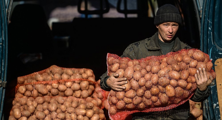 Азербайджан может отказаться от импортного картофеля
