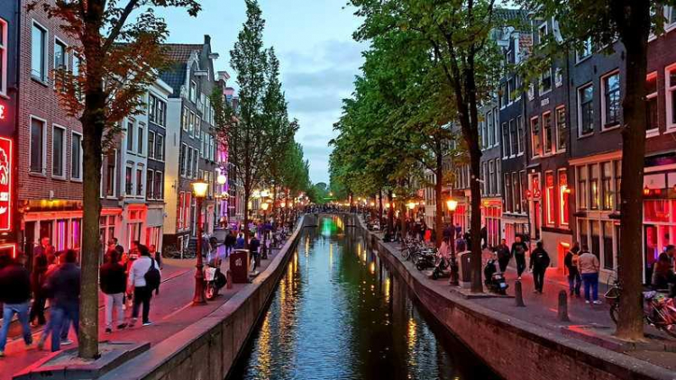 Амстердам может потерять треть туристов из-за запрета каннабиса