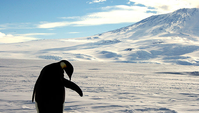 В Антарктиде зафиксирован температурный рекорд
