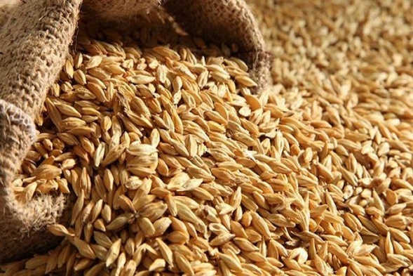 Азербайджан в 2019 году увеличил импорт пшеницы на 46,6%
