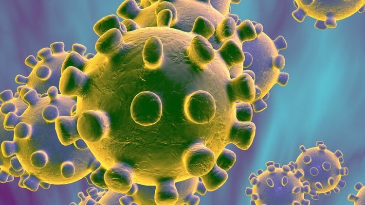 ВОЗ: Вспышка коронавируса сохраняет потенциал перерасти в пандемию
