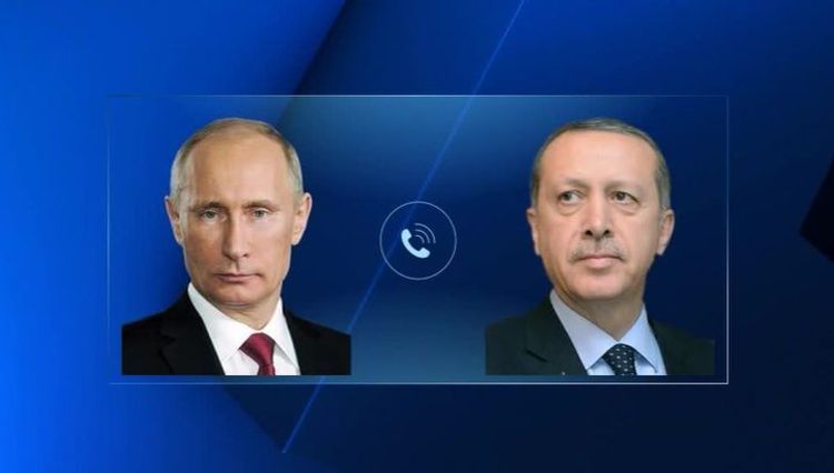 Путин и Эрдоган провели телефонный разговор по Идлибу
