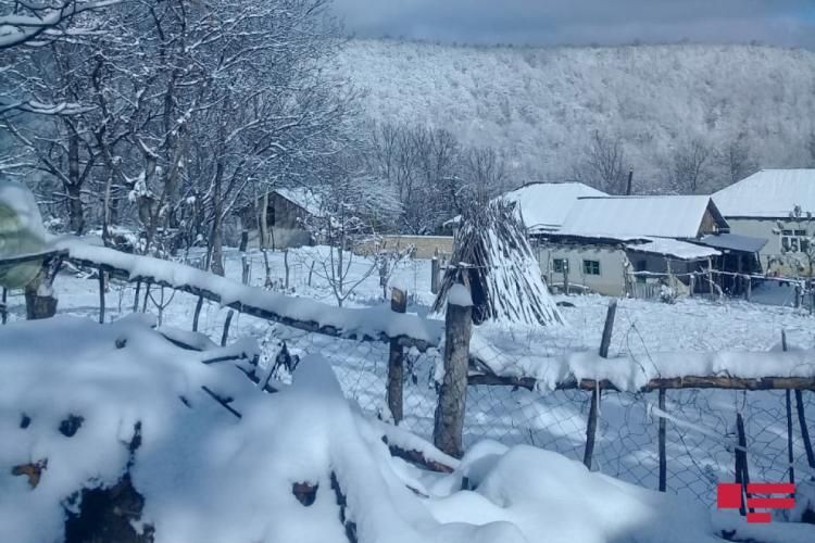 Высота снежного покрова на севере Азербайджана достигла 10 см
