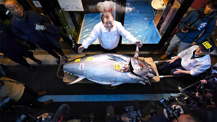 Голубого тунца продали в Японии за $1,8 млн
