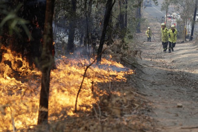 Пожары в Австралии погубили 23 человека и полмиллиарда животных
